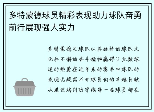 多特蒙德球员精彩表现助力球队奋勇前行展现强大实力