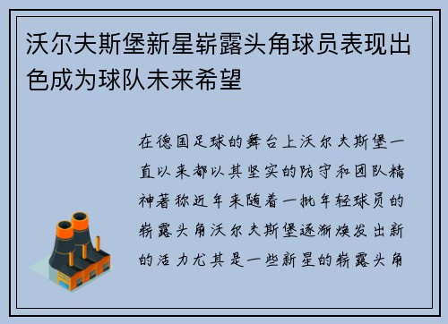 沃尔夫斯堡新星崭露头角球员表现出色成为球队未来希望